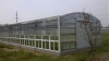 UNQ 10mm high light-transmission greenhouse polycarbonate roofing sheets