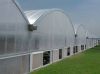 UNQ 8mm Polycarbonate Panel Agricultural greenhouse Polycarbonate Greenhouse Sheet