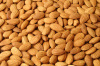 ALMONDS 100% NATURAL/2015 New Crop/ BITTER AND SWEAT ALMOND KERNEL