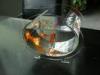 WaterProof Acrylic Display case Tray U Shaped Home Decoration Fish Tank