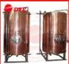 DYE Semi-Automatic Mini Bright Beer Tank For Brewery 1 - 3 Layers