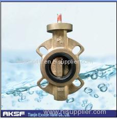 type of butterfly valve C95800 Butterfly Valve