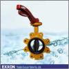 Class 150 Butterfly Valve