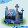 SGS / CE sports combo Inflatable Bounce House backyard with slide