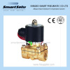 High quanlity 2W series water solenoid valve