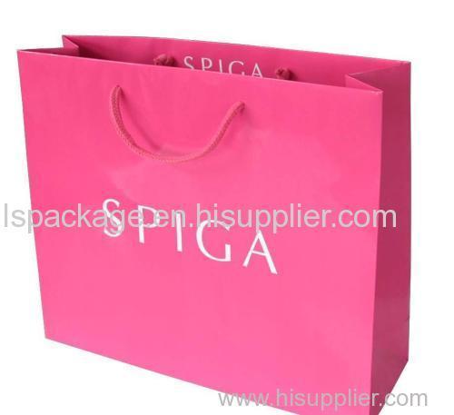 Art Paper Bag with Rope Handle and Matte Lamination Available in Various Sizes