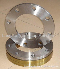 Steel Pipe Flange BW