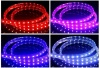 high quality 5050 RGB/SINGLED flexible led strip