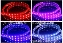 high quality 5050 RGB/SINGLED flexible led strip