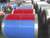 Color Steel Coils Steel Coils