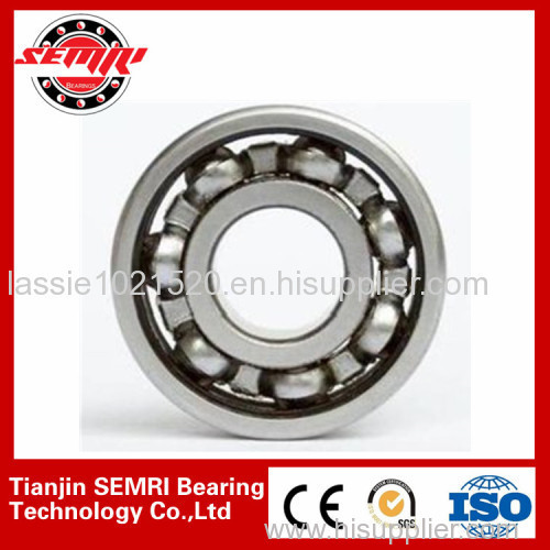 deep groove ball bearing 1(SKP:TJSEMRID)