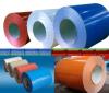 COATED STEEL PRODUCTS FOR BUILDING USE