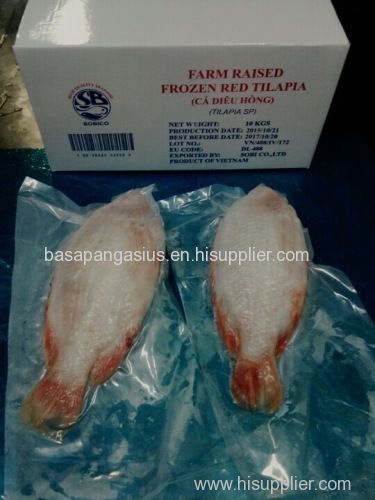 RED TILAPIA WHOLE ROUND BIG SIZE