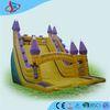 Purple Huge Residential Inflatable Water Slides For Children Playground