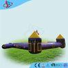 Purple Inflatable Pool Games / Inflatable Jumping Castle For Kids