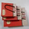 Three Pcs Paper Shopping Bag Set