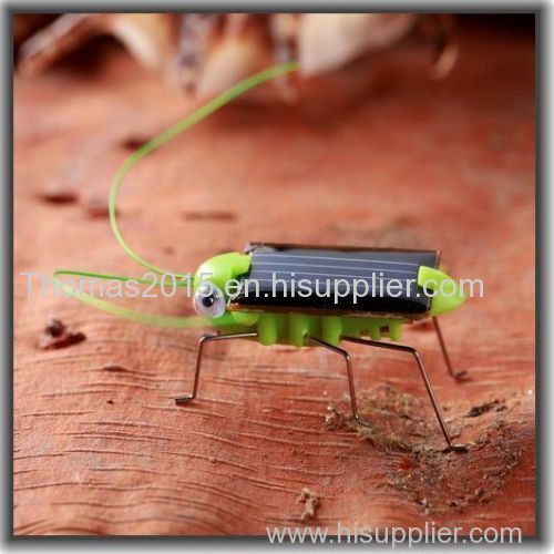 Factory product Solar energy product Solar power product Solar Locust grasshopper Solar toy kit green eco-friendly