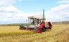 Mini combine rice harvester