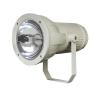 cermax xenon arc lamp 300W Xenon Lamp