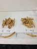 ginseng root ginseng tail