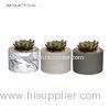 Decorative Cement flower pots