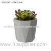 Large Oval Geometric Concrete Plant Pots Handmade Waterproof For Indoor