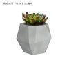 Cactus Cement Flower Pots / Heat - Resistant Concrete Pots For Plants