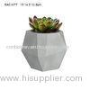 Cactus Cement Flower Pots / Heat - Resistant Concrete Pots For Plants