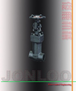 Forged Bellow Seal Globe Valve