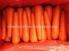 vegitable for sale low price