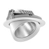 Trunk Cob LED Downlight