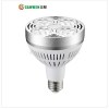 LED Par30 Light E27