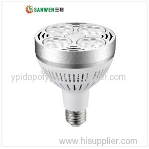 LED Par30 Light E27