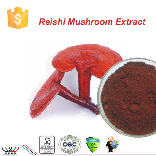 natural ganoderma/reishi mushroom extract