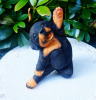 Funny resin animal Personalized Sculpture