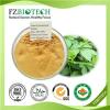 Gynostemma Extract Product Product Product