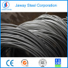 ASTM 304/316 galvanized Steel Wire MANUFACTURER on sale !!!