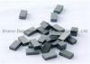 High Temperature Rare Earth Permanent Strong Sintered Ferrite Magnets block / ring / U shape