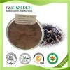 Black Ant Extract Product Product Product