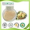 Garcinia Cambogia Extract Product Product Product