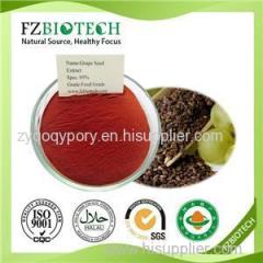 Grape Seed Extract Product Product Product