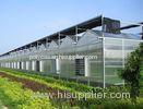 Eco - friendly Bayer Greenhouse Polycarbonate Sheets 4-10mm Thickness Weather Ability