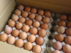 Fresh Chicken Brown & White Table Eggs