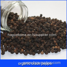 Certified Organic Black Pepper