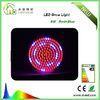 8 Watt Led Hydroponic Grow Lights plant-growth lamp FCC / SGS