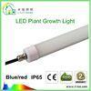 Hydroponic Led Grow Light 3ft LED Tube T8 with Rotatable End Cap
