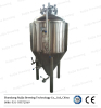 Shandong top brand brewery 500L fermentation tank