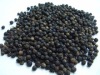 Grade A PEPPER 550gl / 500gl / 600-650 Gram / L Giant Black Pepper / White pepp FOR 2016 AND