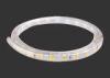 15W / M COB Super Bright High Voltage LED Strip Tape Lights With 11MM AC Plug