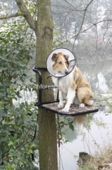 Steel frame Dog Stand